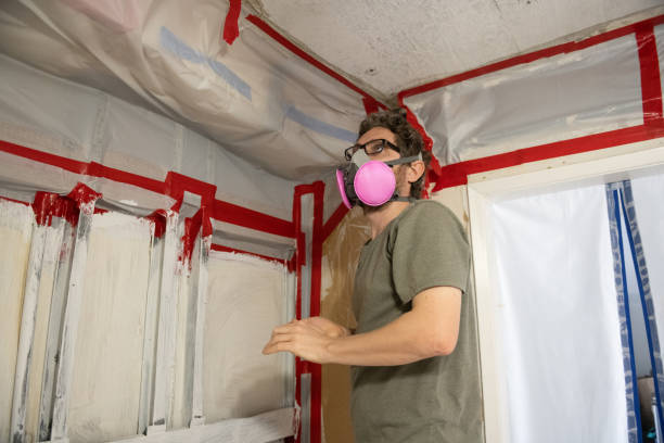 Best Attic Mold Removal  in Ninety Six, SC